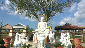 Capture the vibrant beauty of Vietnam with visa-smart planning